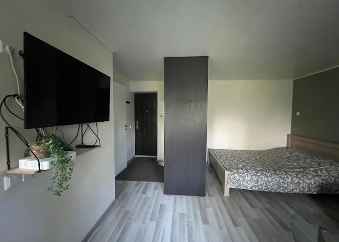 Appartement Korteriuehistu 66 Tõrve